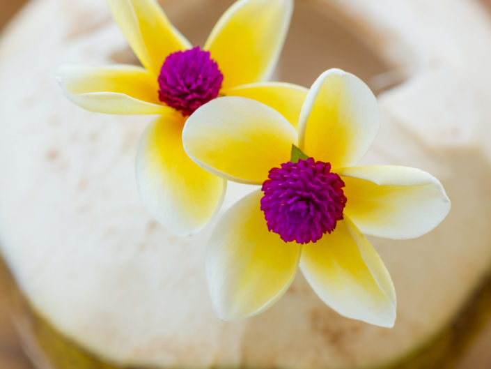 Fresh coconut beverage with flowers