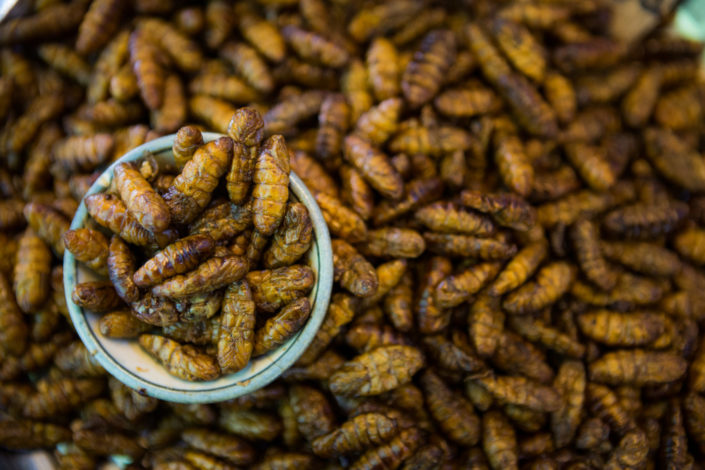 Pile of insect food – Thailand