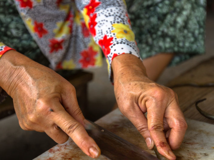 Vietnamese woman slices eels for food