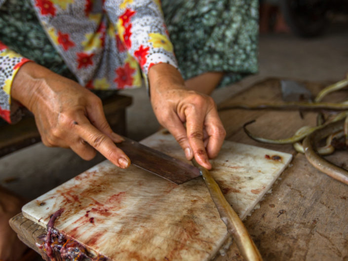 Vietnamese woman slices eels for food