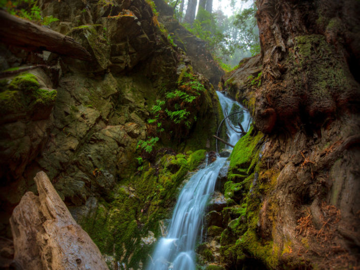 Big Sur Redwood Forest Waterfall