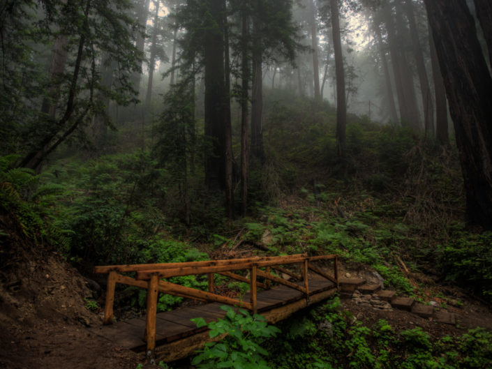 Big Sur Redwood Forest Bridge