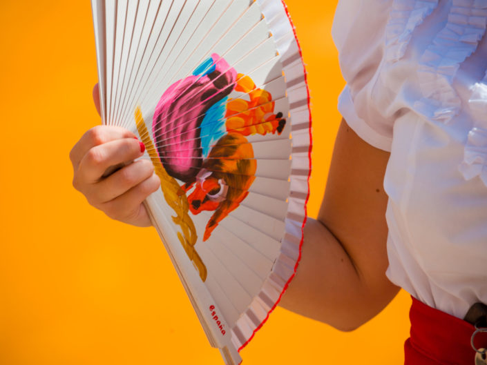 Hand Holding Fan