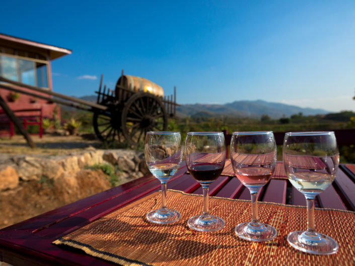 Wine tasting glasses at outdoor vineyard