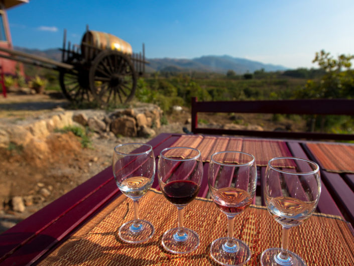 Wine tasting glasses at outdoor vineyard