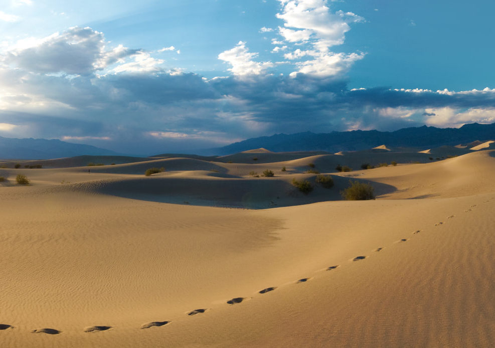 Footprints in the Dunes