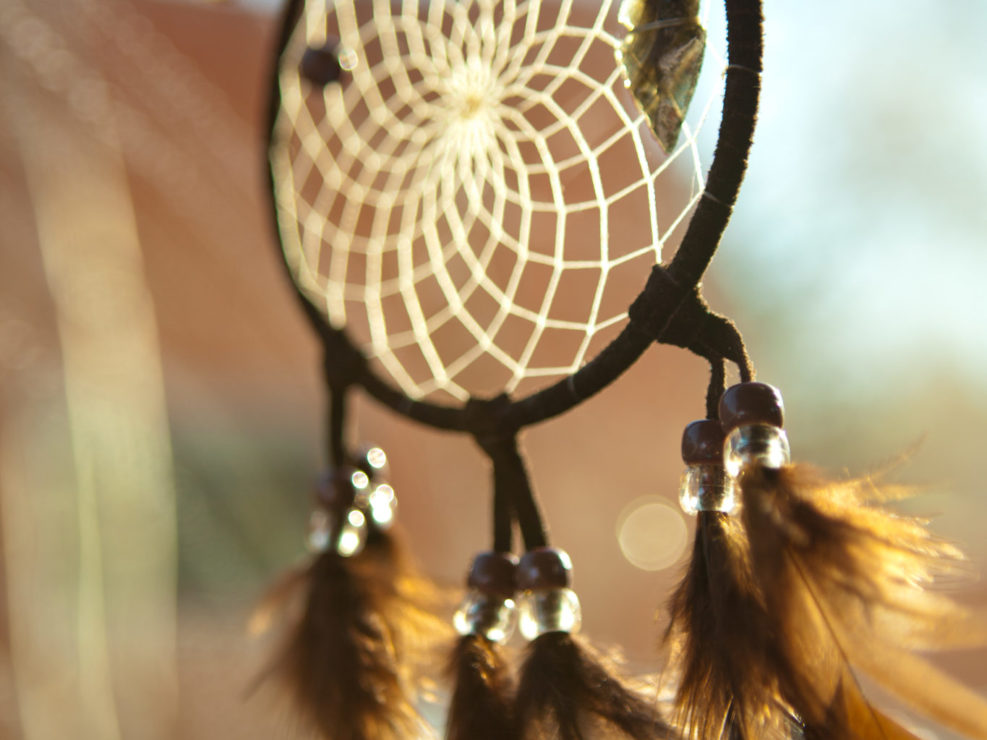 Soft Focus Dream Catcher