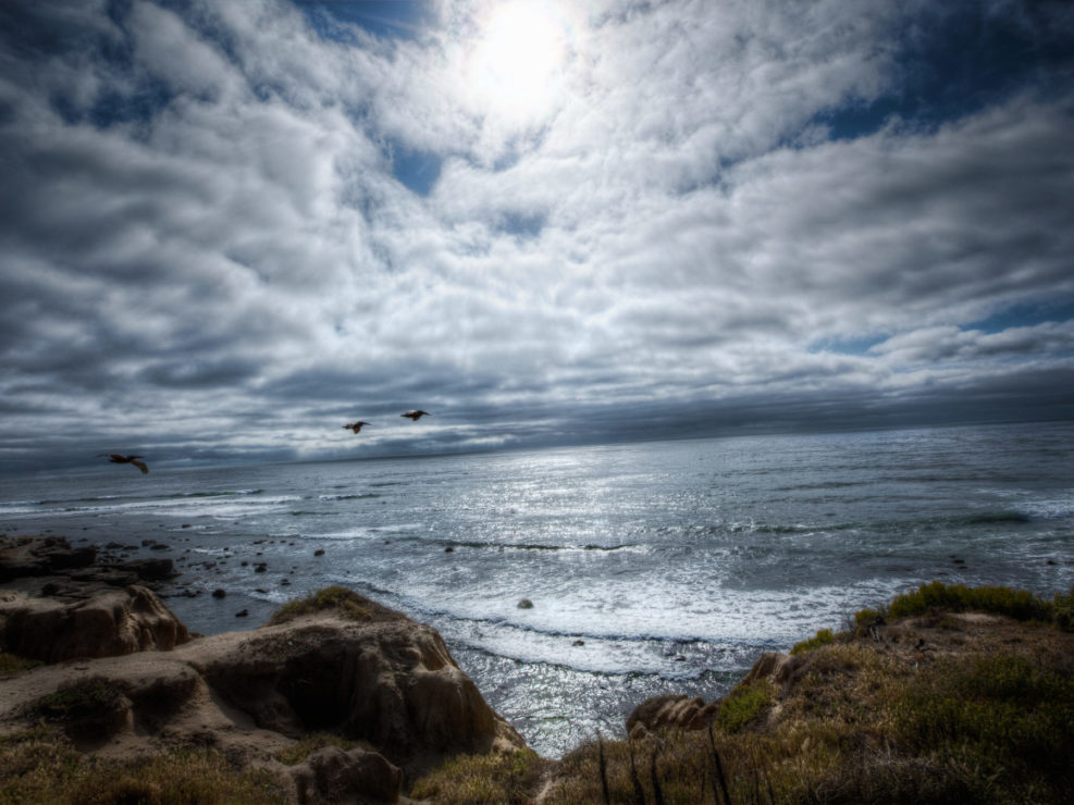 Tidepools at Cabrillo National Monument – San Diego, California USA