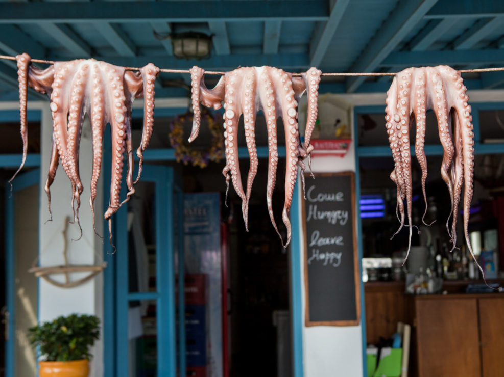 Fresh Caught Octopi Drying – Naxos, Greece