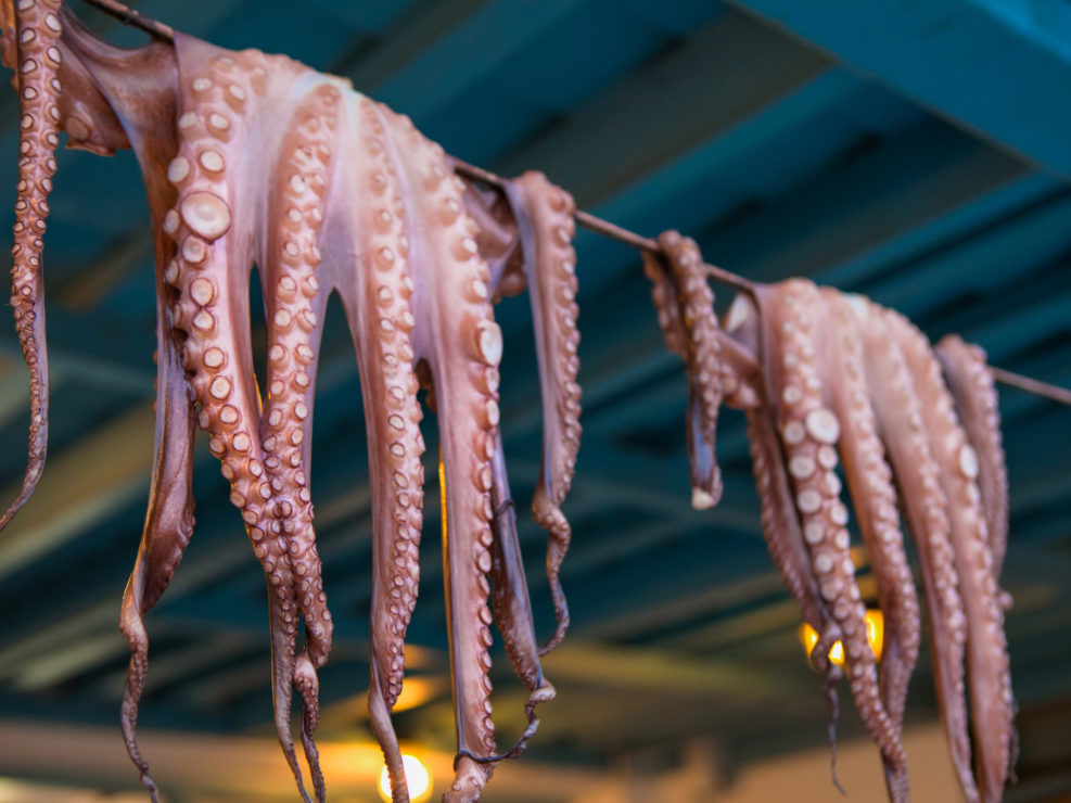 Fresh Caught Octopi Drying – Naxos, Greece