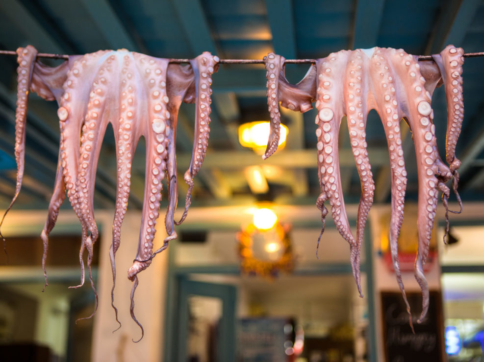 Fresh Caught Octopi Drying – Naxos, Greece