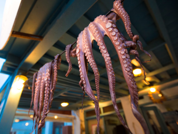 Fresh Caught Octopi Drying – Naxos, Greece