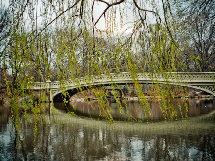 Central Park stone bridge reflection