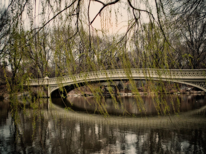 Central Park stone bridge reflection