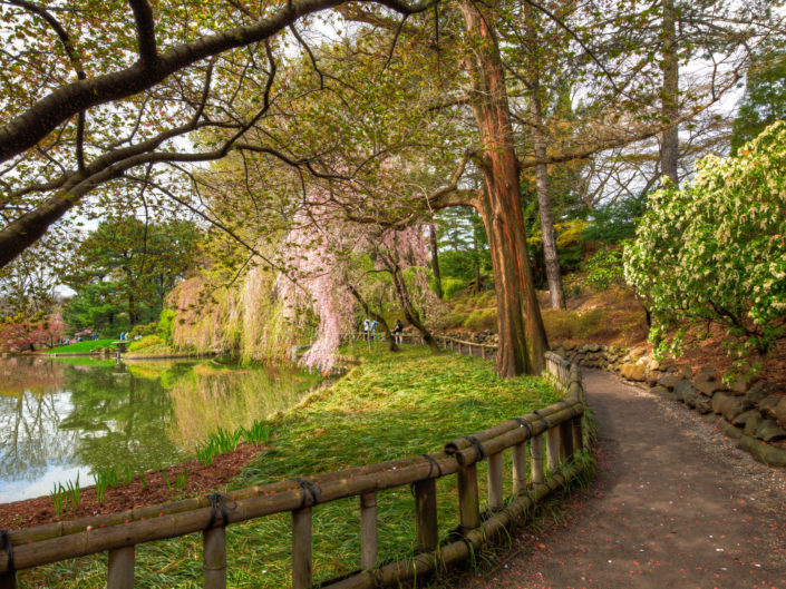 Botanic Garden Walkway