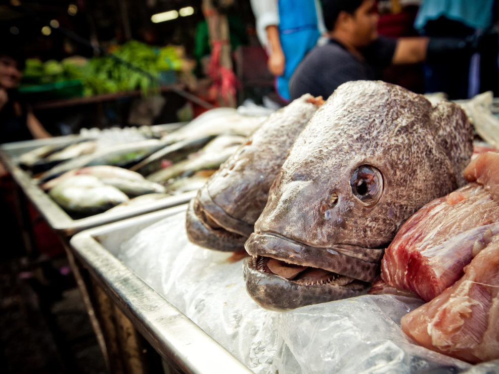 Fish Head at Thai Market