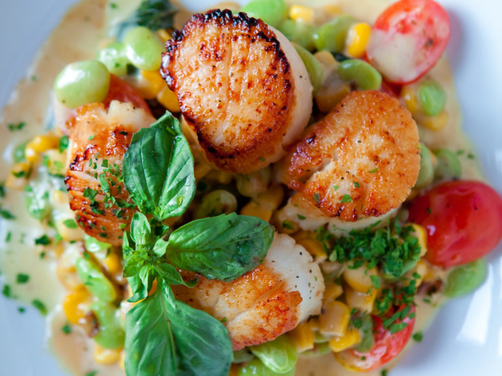 Grilled Scallops Dish