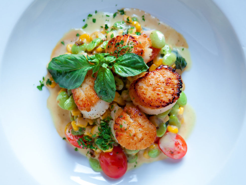 Grilled Scallops Dish