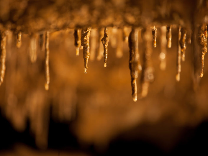 Stalactite formations