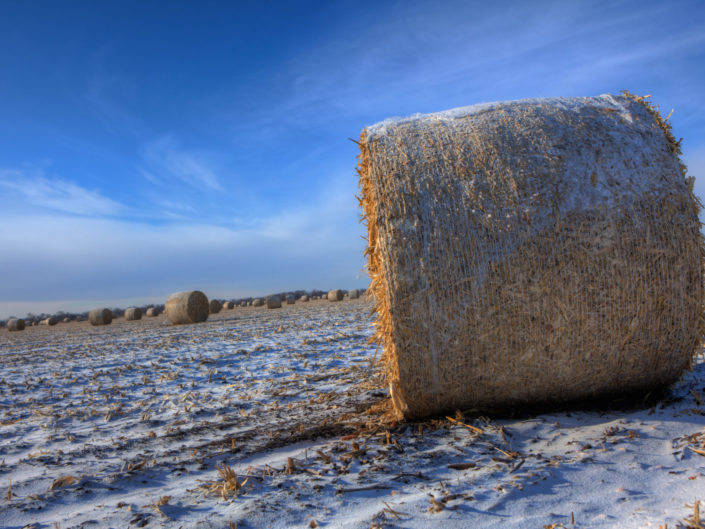 Hay Bales in Winter