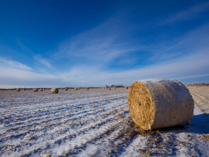 Hay Bales in Winter