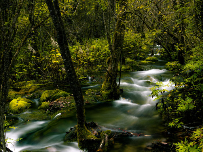 jiuzhaigo_cascade